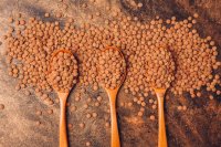 Valori nutrizionali e benefici per la salute delle lenticchie